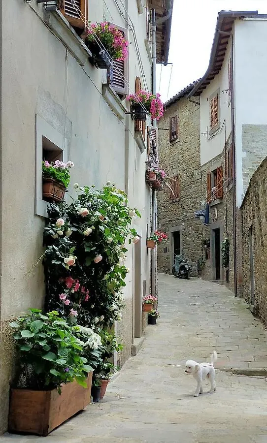 Apartment Casa Agata, Accogliente Appartamento Nel Centro Storico Cortona